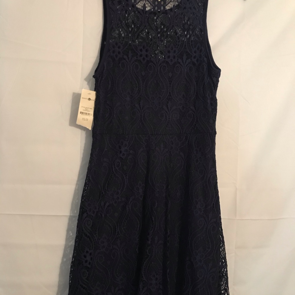 Wishful Park Lace Dress